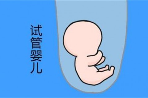 http://www.hengdawh.cn/post/188.html|人工试管